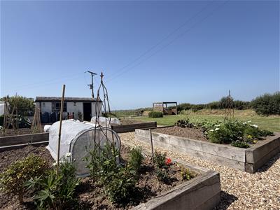Picture 20
